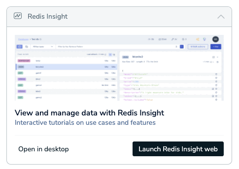Launch Redis Insight web from the Connection Wizard.